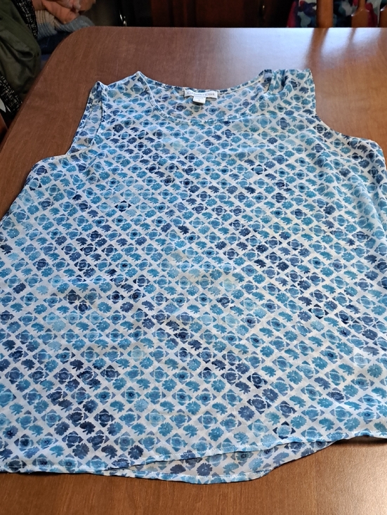 Coldwater Creek Tops - Colwater Creek Sheer Top L 14 Ptp 21"